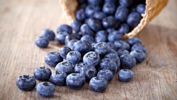 Hoe begrijp je Blueberry?