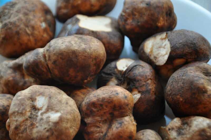afbeelding van truffelpaddestoel gemengd met aardappel