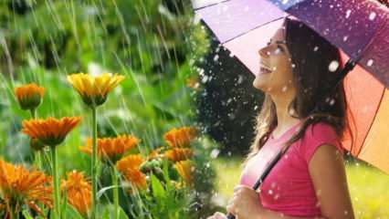 Geneest regen in april? Wat zijn de gebeden die in het regenwater moeten worden gelezen? De voordelen van aprilregen