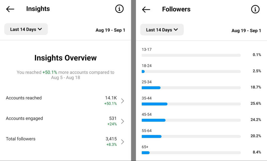 how-to-audience-inzichten-op-instagram-app-overzicht-volgers-voorbeeld-3