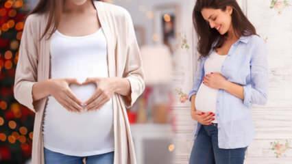 Wat is de ovulatieperiode? Wanneer geslachtsgemeenschap hebben om zwanger te worden?