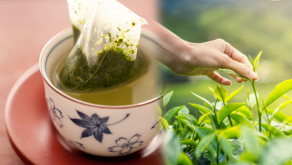 Verzwakt het schudden van groene thee? Wat is het verschil tussen theezakjes en gezette thee? Als je groene thee drinkt voor het slapengaan ...