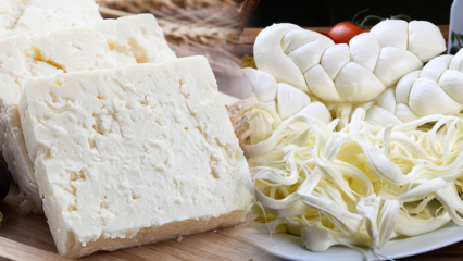 Hoe begrijp je goede kaas? Tips voor het kiezen van kaas