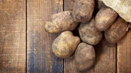Hoe worden aardappelen bewaard?