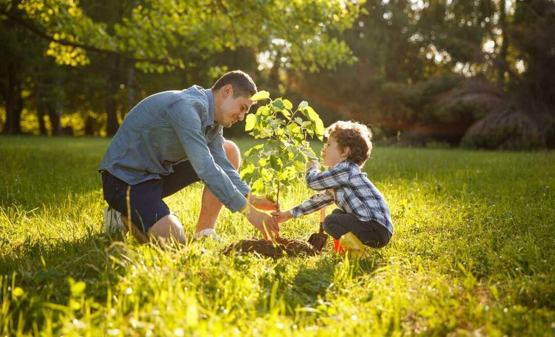 Wat zijn de manieren om kinderen liefde voor de natuur bij te brengen? Hoe leg je het belang van de natuur uit aan kinderen?