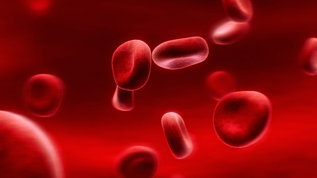 Wat is een bloedgroepdieet? Hoe doe je dat?