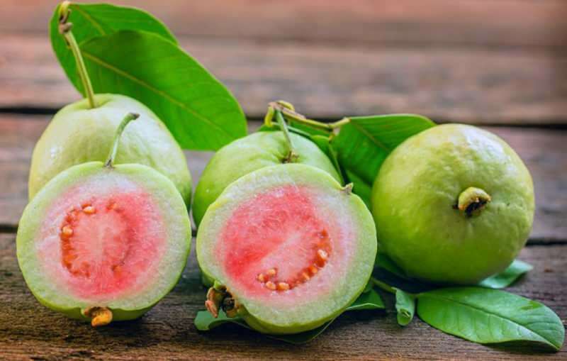Bevat krachtige antioxidanten zoals guavan-tomaten
