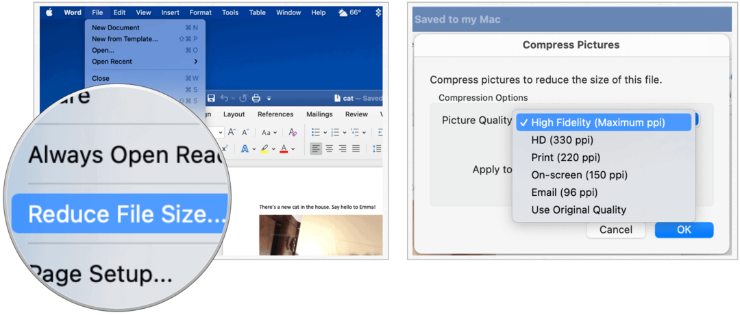 Microsoft Word op Mac verkleint de bestandsgrootte