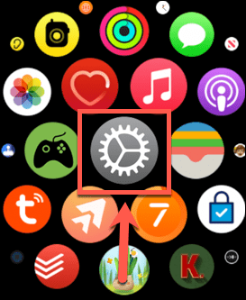 Apple Watch-instellingen-app