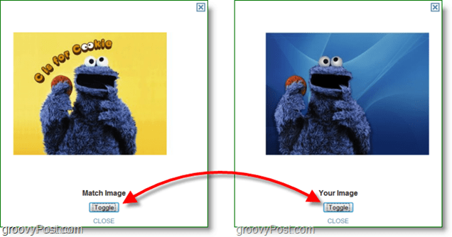 TinEye Screenshot - vergelijk originele afbeelding en match afbeelding