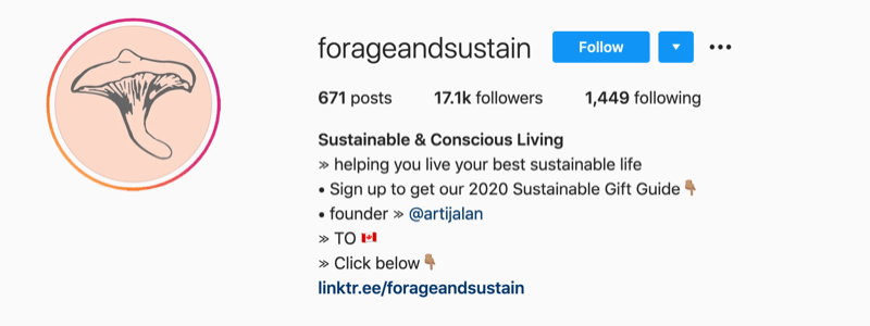Instagram-profielvoorbeeld van @forageandsustain met een opmerking in hun profielinformatie om op de biolink te klikken voor meer