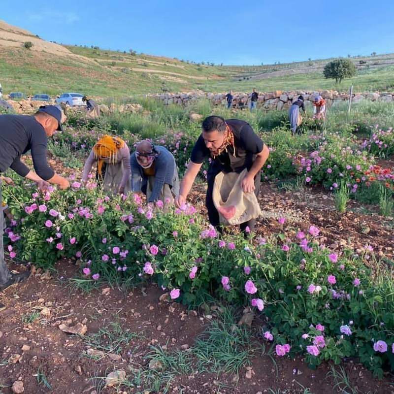 verzamelde rozen samen met beroemde Turkse arbeiders