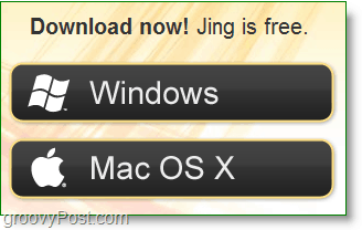 Jing gratis downloaden in Windows of Mac OS X