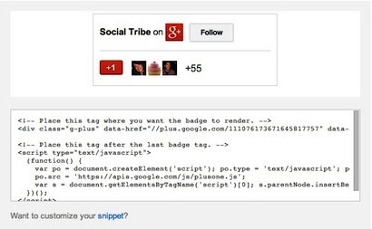 voorbeeld van google + badgecode