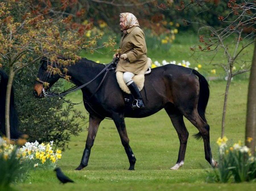 Koningin Elisabeth te paard 