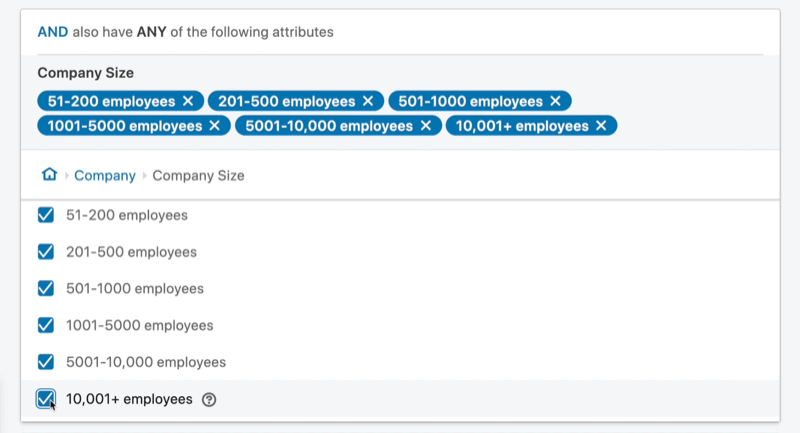 voorbeeld doelgroep van LinkedIn-advertentiecampagne 'en' kenmerk ingesteld met een bedrijfsgrootte tussen 51 en 10.001+ werknemers