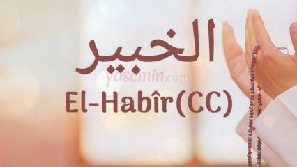 Wat betekent al-Habir (c.c)? Wat zijn de deugden van de naam Al-Habir? Esmaul Husna Al-Habir...