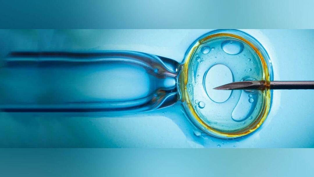 Behandelingen voor in-vitrofertilisatie worden door de staat gedekt