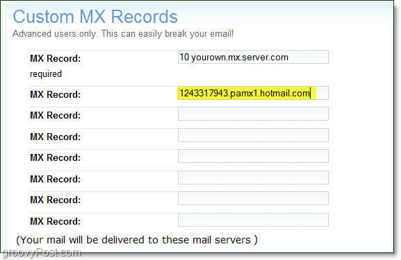 plak uw live services mx-serverinformatie op de geavanceerde optiespagina van uw domein voor aangepaste mx-records