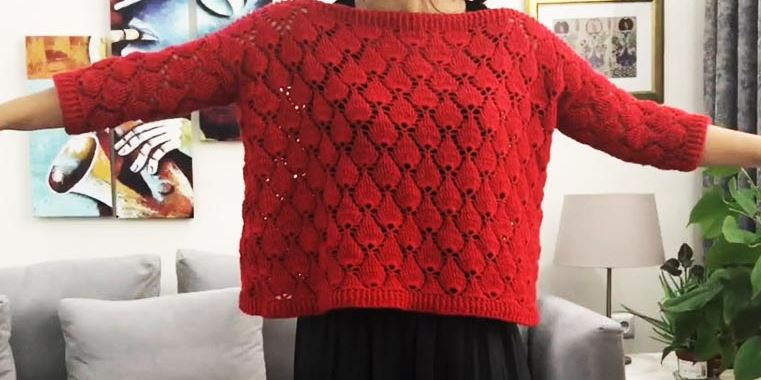 Haakpatroon aardbeien trui
