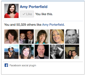 amy porterfield facebook zoals box