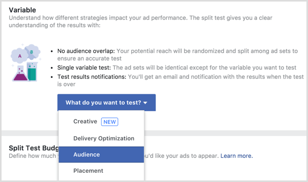 Testvariabele voor splitsen van Facebook-advertenties