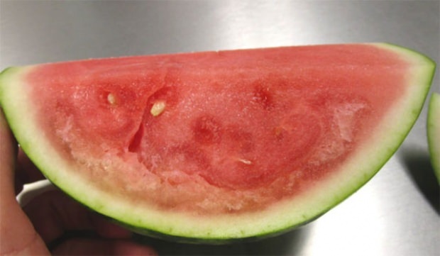 Pas op voor de gebarsten watermeloen!
