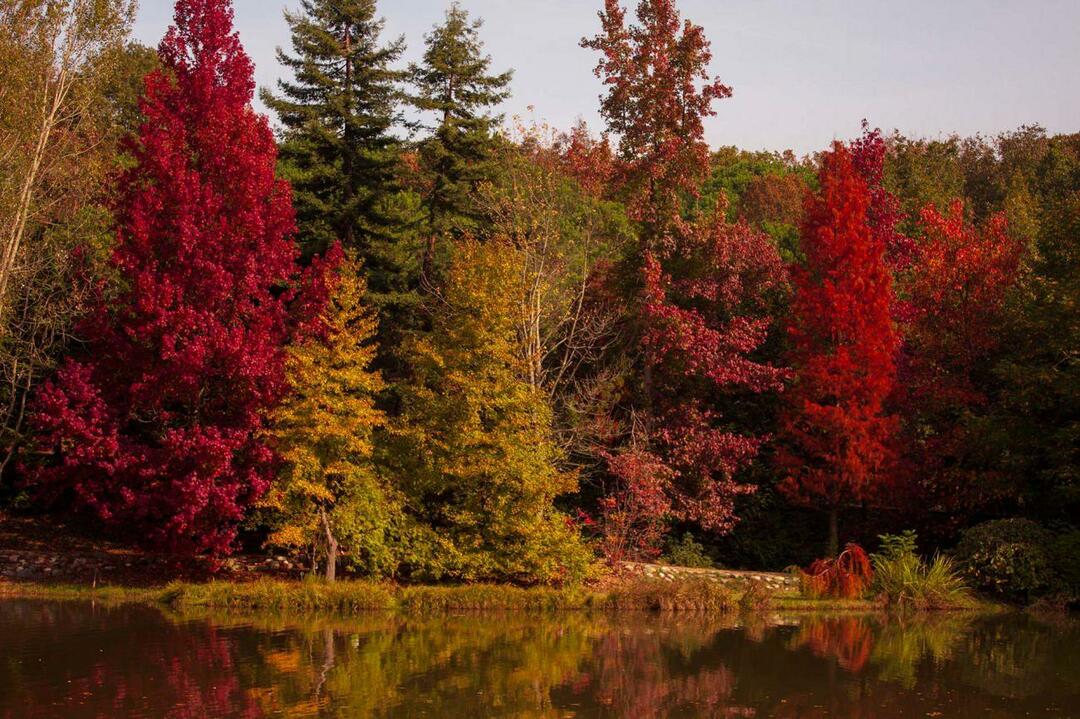 Atatürk Arboretum