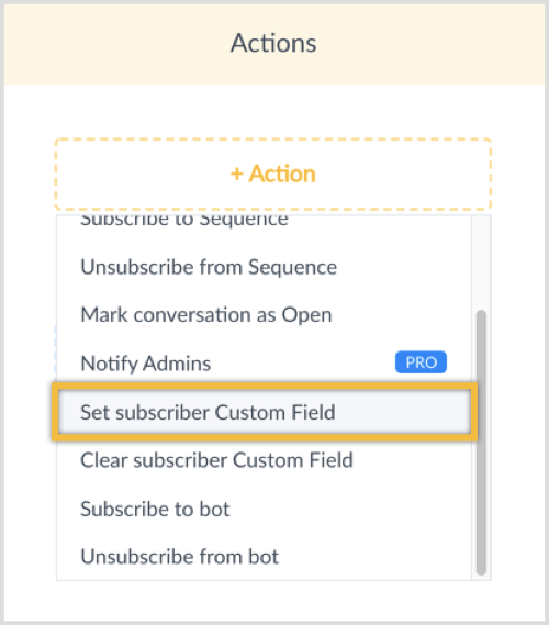Klik op de knop + Actie en selecteer Aangepast abonnee-veld instellen.