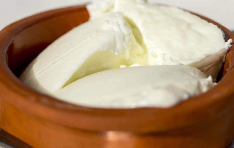 buffelyoghurt is rijk aan calcium