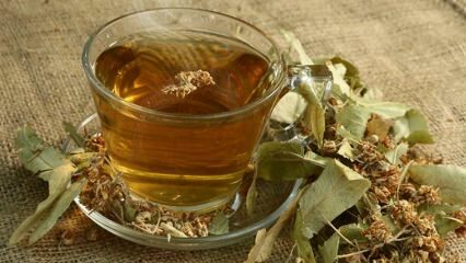 Wat zijn de voordelen van linde? Voor welke ziekten is het goed? Hoe maak je linde thee?