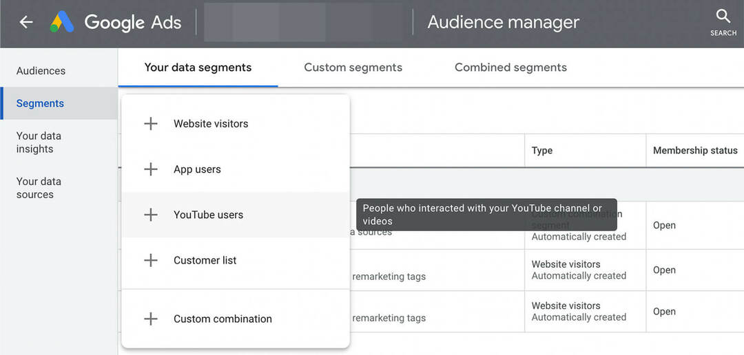 wat-is-youtube-audience-targeting-google-ads-data-segments-example-2