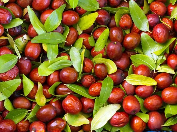 Welke ziekten zijn goed voor jujube-fruit