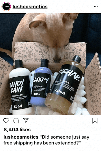 Instagram-bedrijfspost met hond