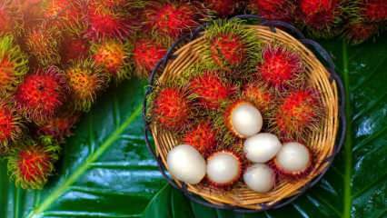 Wat is Rambutan? Wat zijn de voordelen van Rambutan-fruit? Hoe ramboetan eten?