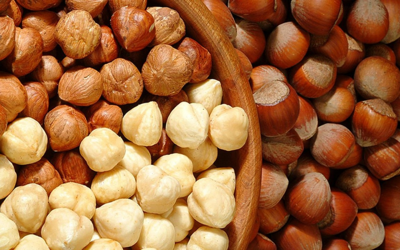 Wat zijn de voordelen van hazelnoot? Wat doen hazelnootschalen? Als je een handvol rauwe noten eet ...