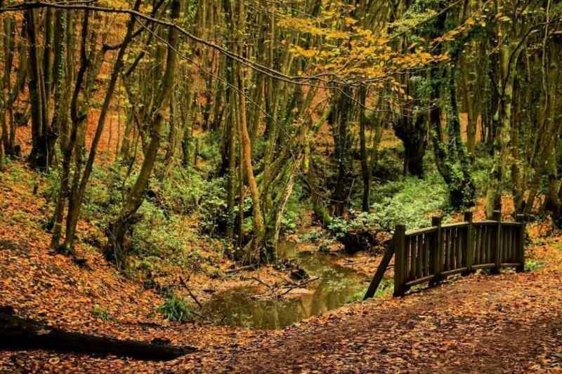 Natuurpark Polonezkoy