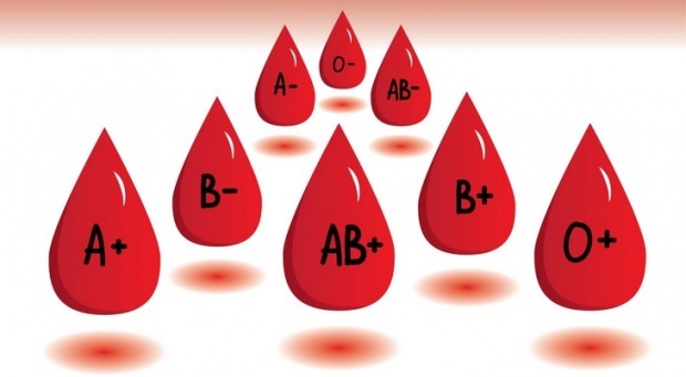 Wat doet het bloedgroepdieet?